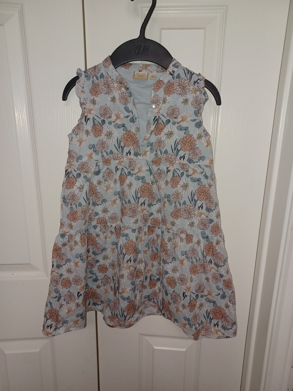 Uniqlo Paul & Joe Girls Floral Ruffle Sleeveless Dress - Blue & Brown
